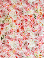 Mjphoto-4